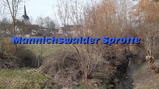 Mannichswalder Sprotte