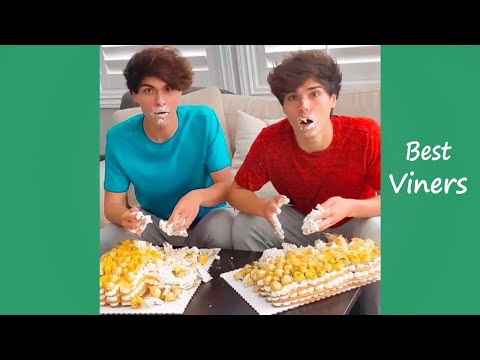 Alan Stokes and Alex Stokes Funny Instagram Videos - New Stokes Twins Vines - Best Viners 2019