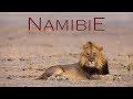 Namibie Entre Himbas Et éléphants