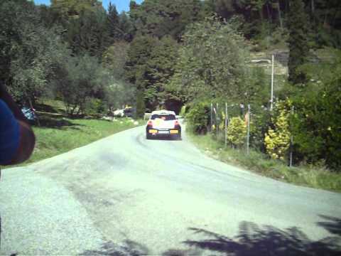 Rally Citta Di Camaiore 2013 PS 4 (Gaddini-Rombi)