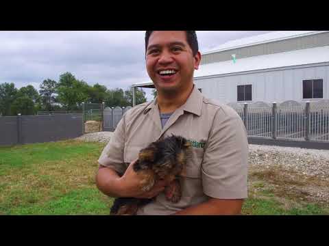 Kennel Tour 52