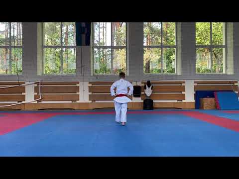 Artjoms Ševcovs - Nipaipo