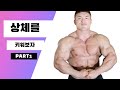 [맨몸운동] 상체를 키워봅시다! #1