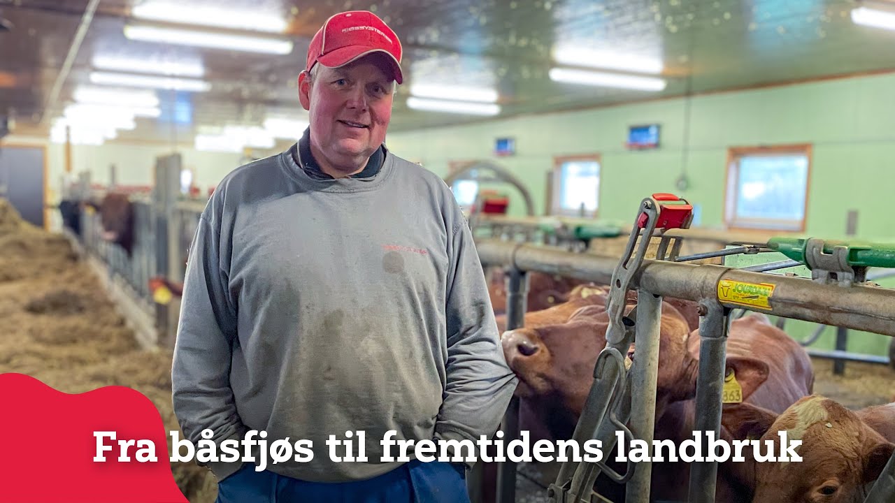 Fra båsfjøs til fremtidens landbruk i Gudbrandsdalen