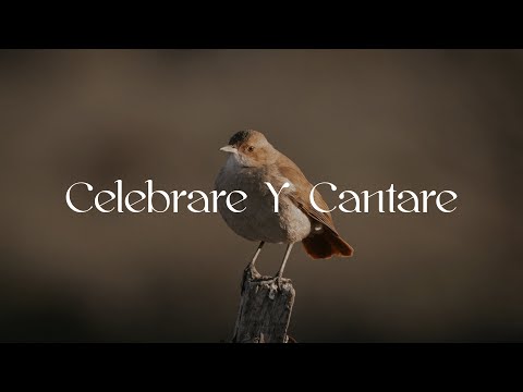 Celebraré Y Cantaré - Elim