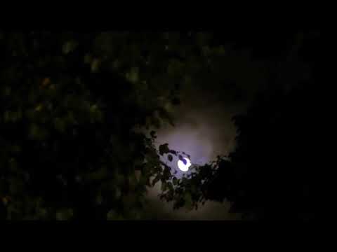 Bulin 47 & J C la nevula