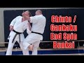 Practical Kata Bunkai Chinto Gankaku End Spin Bunkai