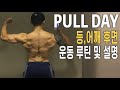 저는 등 운동을 이런 느낌으로 합니다. 레이방피트니스 운동 루틴 V2 PULL DAY