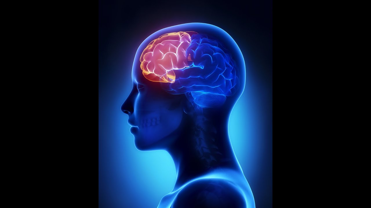 Treating Executive Functioning Difficulties:  Improving Planning