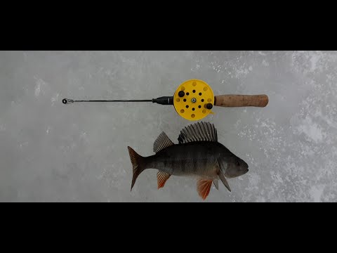 Ahvenen pilkintää tasurilla ja ahkion testailua