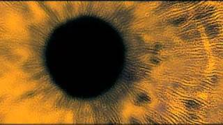Squint Eye Mangle / Big Carrot / Marc Bolan