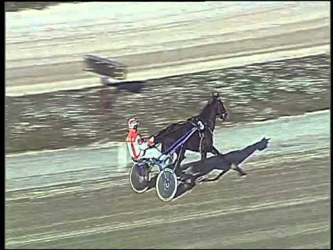 Trotto 22/12/2015 - prova di qualifica e riqualifica