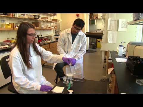 Testing Perovskite Materials Noel Testing Perovskite Materials Noel HD 720