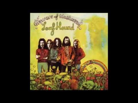 Leaf Hound   Growers Of Mushroom