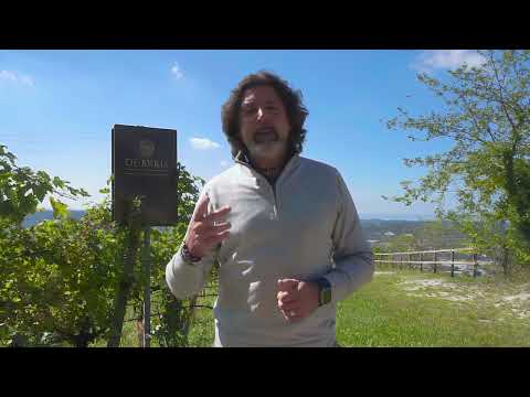 De Buris – Amarone della Valpolicella Classico Riserva | Tesori di Villa Sostaga (EN)