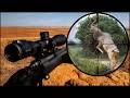 Cape Buffalo And Kudu Hunts