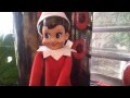 Elf on The Shelf Caught Moving 