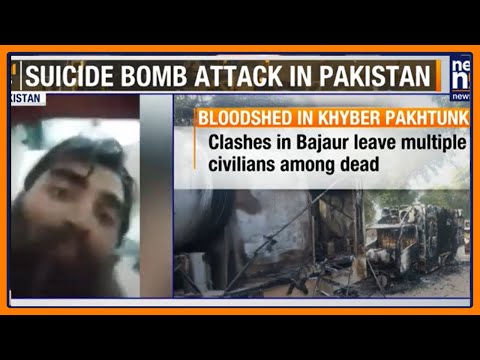 Suicide Bomber Kills 7 in Dera Ismail Khan