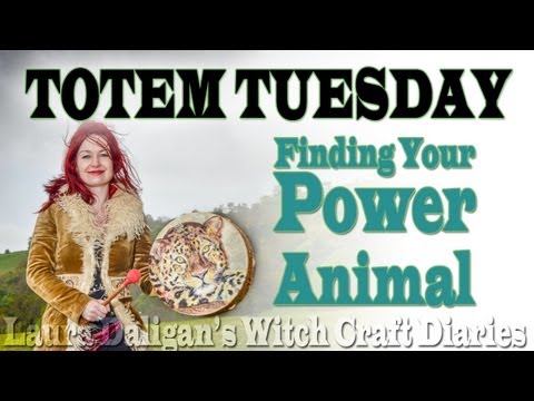Totem Tuesday - Finding Your Power Animal