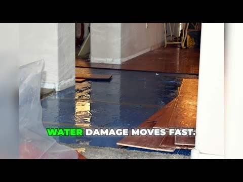 Emergency Water Removal: Why Speed Matters in the First 48 Hours