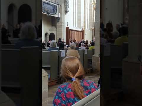 Konzert des Männerchors «ars musica» in Halle