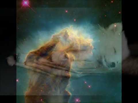 Evelin Samuel & Camille - Langevate tähtede aeg