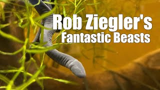 Rob Ziegler's Place: The Grand Tour
