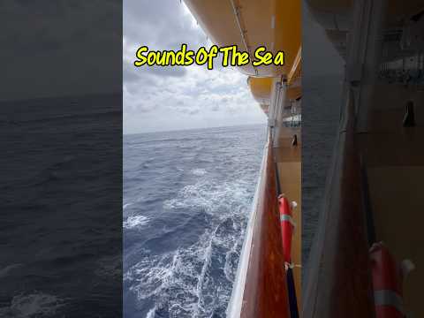 Thumbnail for “Relaxing to the Soothing Sounds of the Sea on a Cruise Ship” #cruise  #holiday #shorts #travel