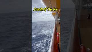 “Relaxing to the Soothing Sounds of the Sea on a Cruise Ship” #cruise  #holiday #shorts #travel