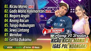 Download lagu KICAU MANIA (GAS POL NDANGAK) - Ajeng Febria Ft Brodin | GADIS MANIS KALIMANTAN | FULL ALBUM DANGDUT mp3