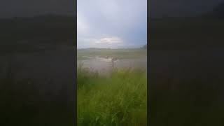 Download lagu Aluh Aluh menggelegar. info lokasi mp3