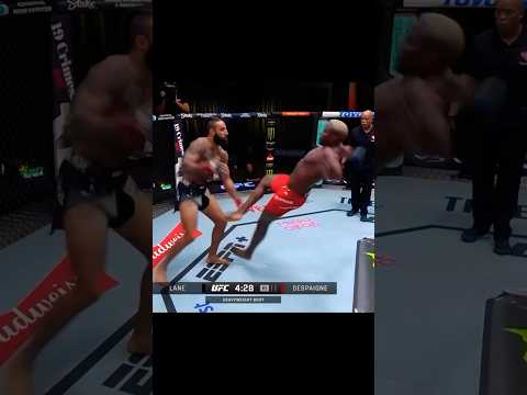 UFC Fight Night 245 Showcases Rising MMA Talent