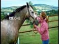 RTE One Ident November 2006 To Present Greetings