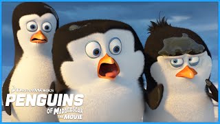 How the Penguins came to be THE PENGUINS | DreamWorks Madagascar