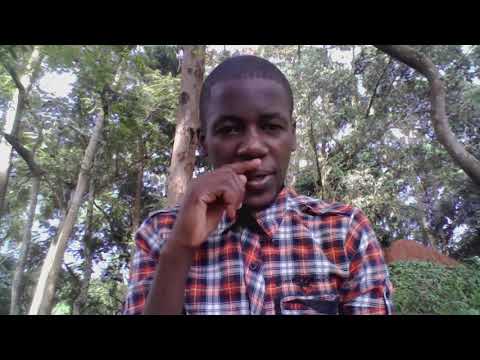 DREAMS ABOUT DOG/  OKULOOTA EMBWA NE KYEBITEGEEZA