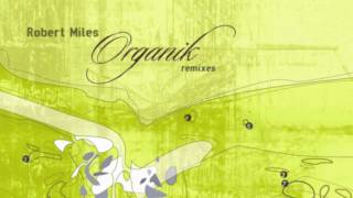 Robert Miles - Paths [FSOL Remix]