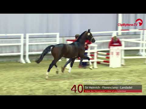 40 Junghengst v. Sir Heinrich - Florenciano