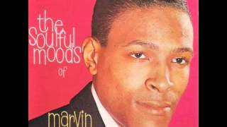 Marvin Gaye &quot;Love For Sale&quot;
