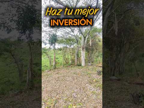#lotes #económicos de 2000 M2 en #lamesacundinamarca con vista a la montaña