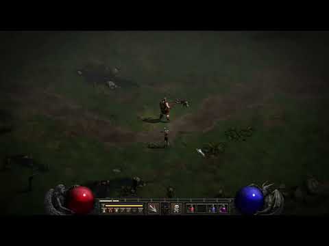 D2R PTR 2.4 Bug Report: Grim Ward