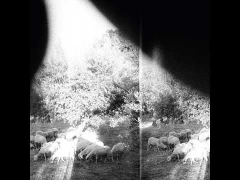 Video thumbnail for Lambs’ Breath