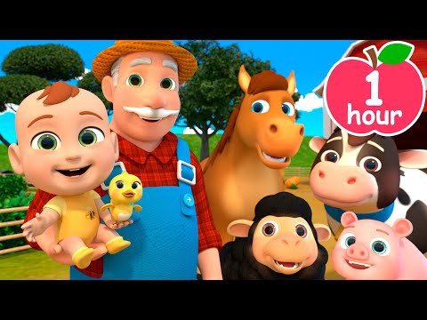 Old MacDonald Had a Farm | Newborn Baby Songs & Nursery Rhymes