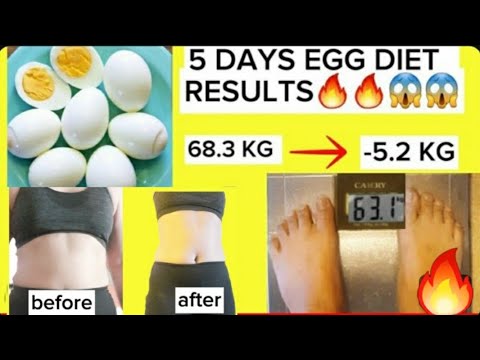 EGG DIET 🔥for 5 days i Lost 5.2kgs  from 68.3 kg down to 63.1kgs |egg diet without workout