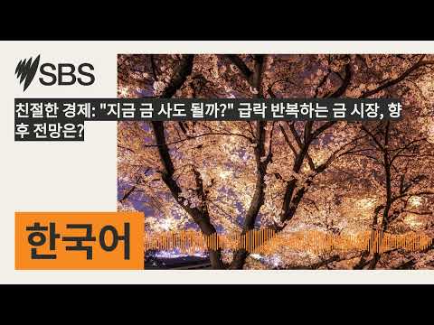 「금시장 [金市場]」의 한국수어 표현