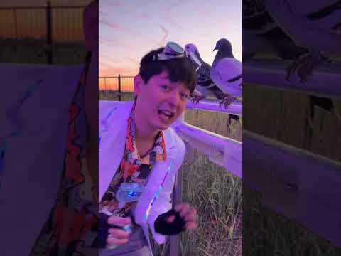 什麼是蠟酯？蠟酯有什麼作用？蠟酯的用途是什麼？ (What is Wax Ester? What do wax esters do? What is wax ester used for?)