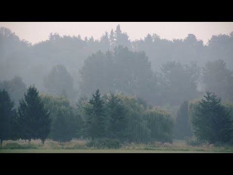 Wildfires continue to impact air quality in Central Valley