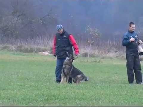 Beembo Erpemos IPO1 C