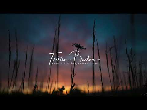 Interlude - Tristan Barton