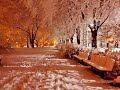 Mein Ost Lyrical Whatsapp Status Best Ost With Best Lyrics ️ ️ ️ ️ ️ ️