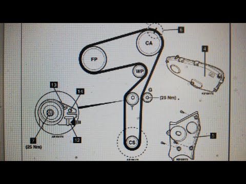 Fiat Bravo 2008 1.9multijet 88kw timing belt and water pump replacement